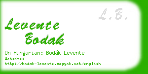 levente bodak business card